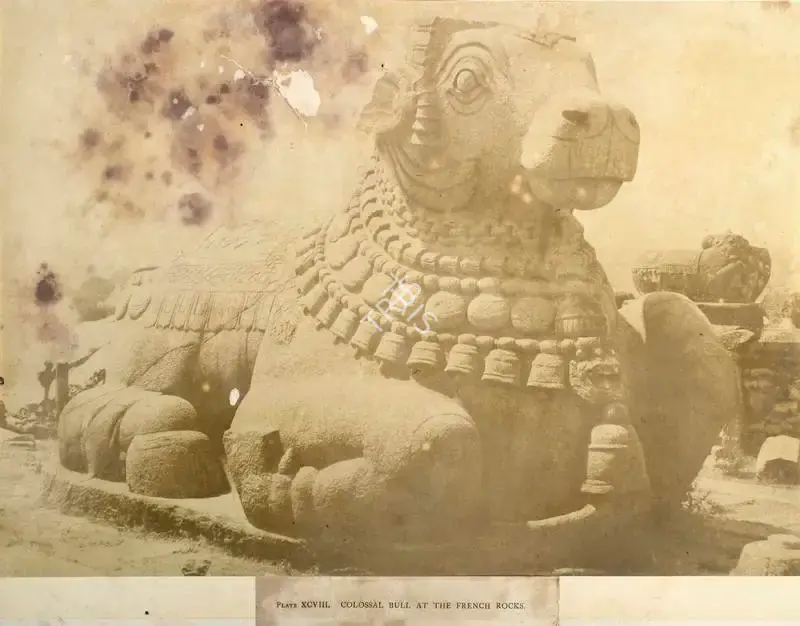 Pigou, William Henry (Photographer). Colossal Bull At The French Rocks - From the album "Architecture in Dharwar and Mysore Published by John Murray. London 1866. Photographs by Dr. William Henry Pigou, Dr. Andrew c.Neill and Col. Thomas Biggs with an historical and descriptive memoir by Colonel Meadows Taylor and  architectural notes by James Fergusson". Albumen print pasted on mount, c.1856 | Antiquarian Photograph | Photography | 00115062