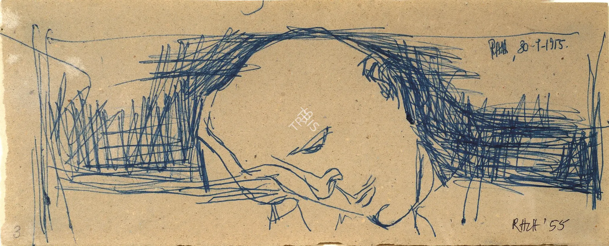 Raza, S.H. (Artist). Head, 1955 | Drawing