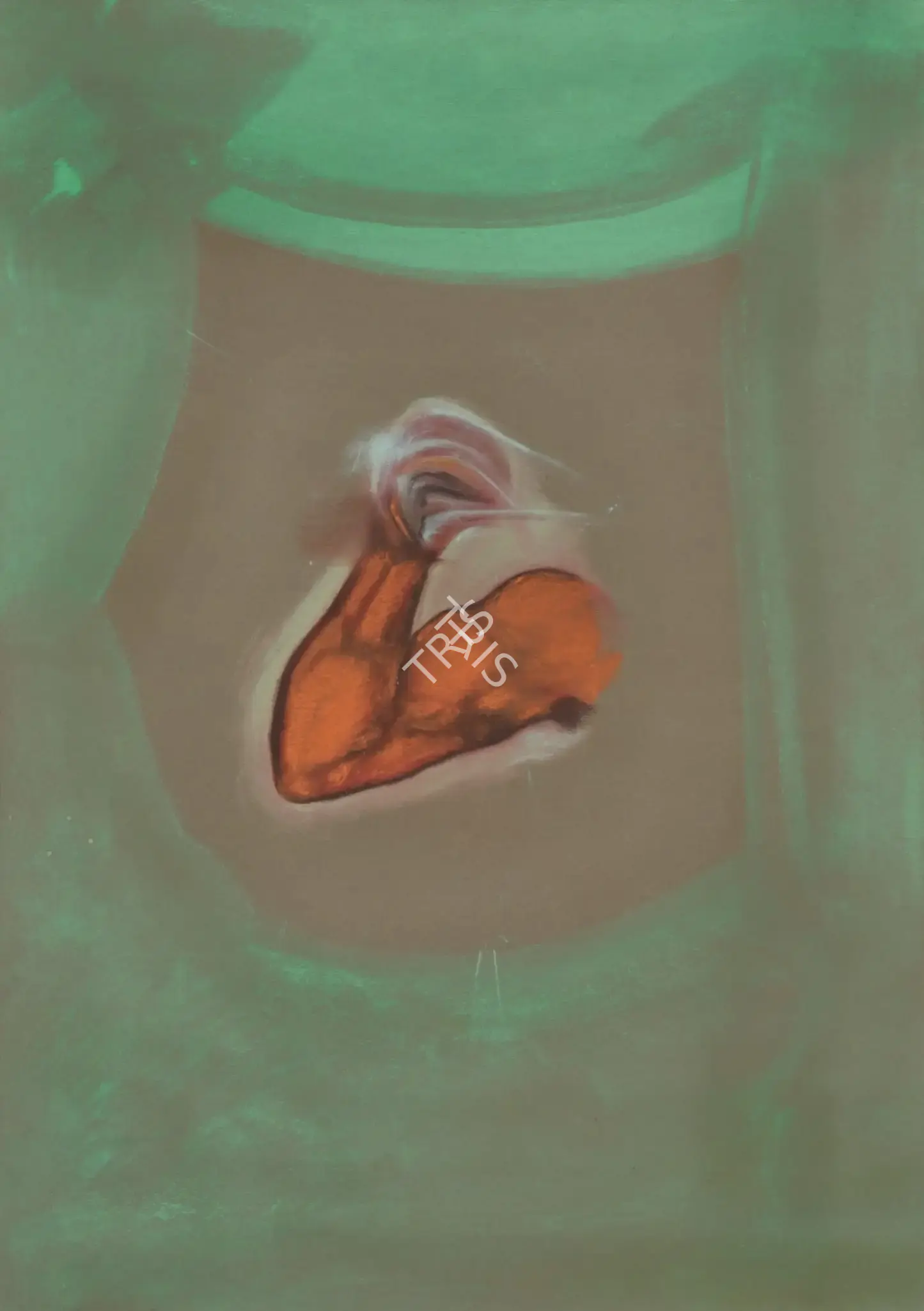 Ray, Anandajit (Artist). Untitled, 2007-2008 | Painting