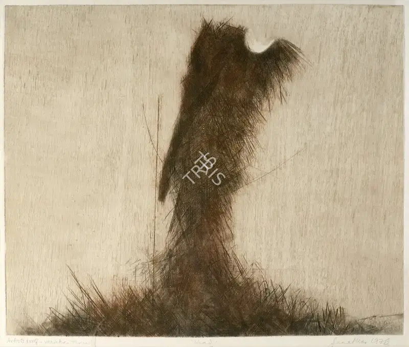 Kar, Sanat (Artist). Head, 1976 | Graphic Art