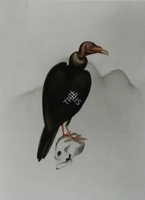 Dodiya, Atul (Artist). In Jatayu's Forest - I, 2004 | Painting