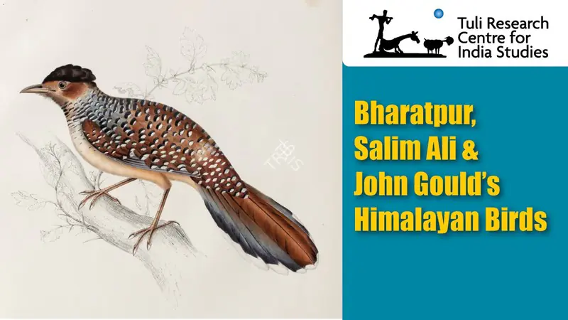 Tuli Research Centre for India Studies (Editor). Bharatpur, Salim Ali & John Gould's Himalayan Birds, 23 February 2025 | In-house Video | Continuum | 00876557