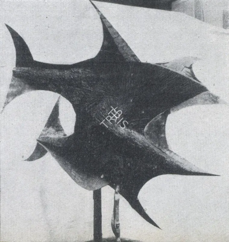 Kaneria, Raghav (Artist). Fish Forms. 1961 | Marg, December 1962 | Sculpture | FineArts | 00674901