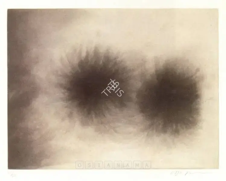 Kapoor, Anish (Artist). Untitled. Etching and aquatint, 1995 | Graphic Art | FineArts | 00898761