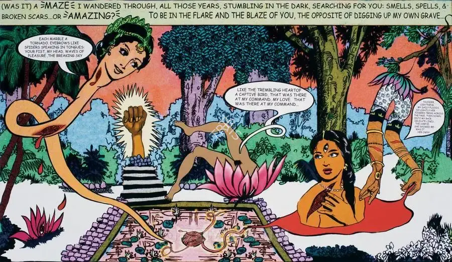 Ganesh, Chitra (Artist). Dazzle Slide. Digital C - print on paper, 2006 | Print | FineArts | 00576934