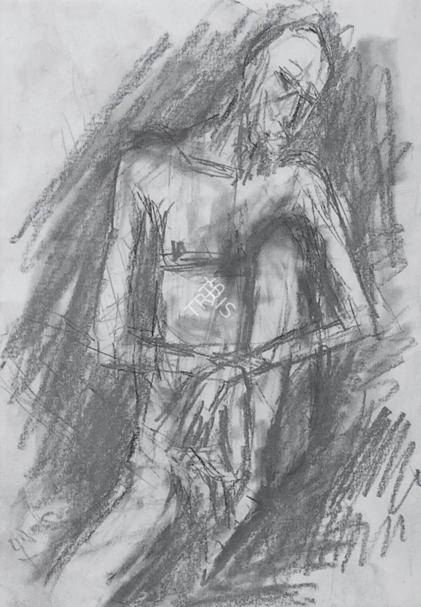 Padamsee, Akbar (Artist). Untitled, n.d. | Drawing