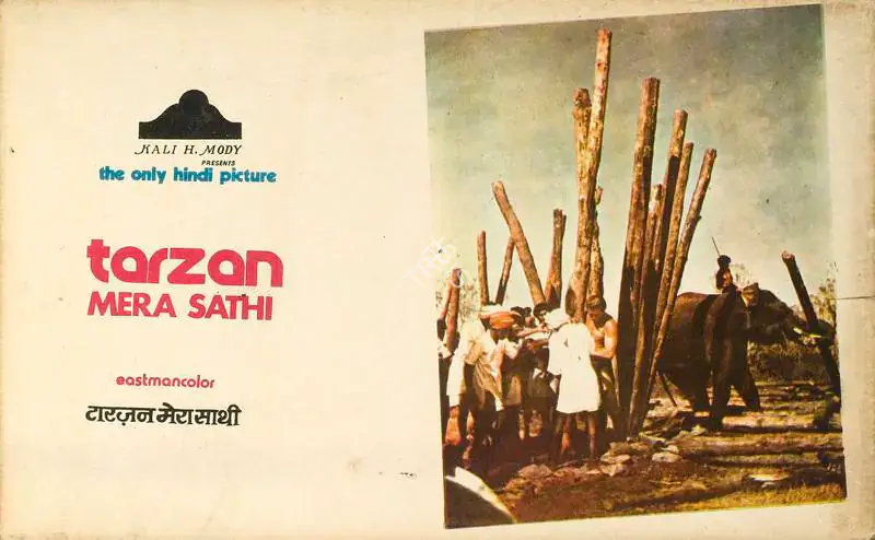 Dewan, Jaimani (Producer), Tarzan Mera Sathi, 1962 | Lobby Card | CinemaEducation | 00788839