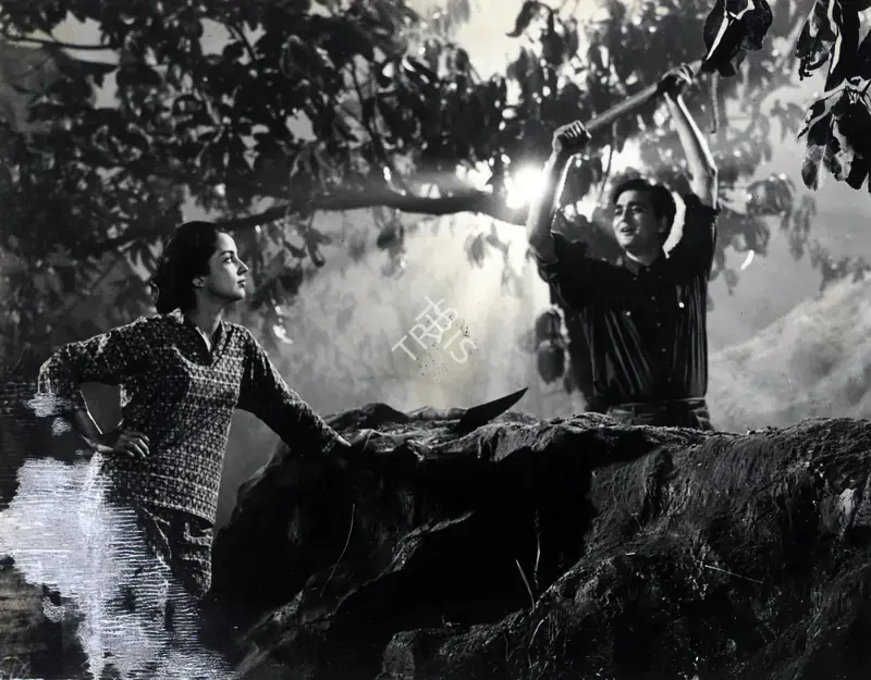 Kapadia, K.H. (Cinematographer), Yeh Rastey Hain Pyar Ke, 1963 | Photographic Still | CinemaEducation | 00888430