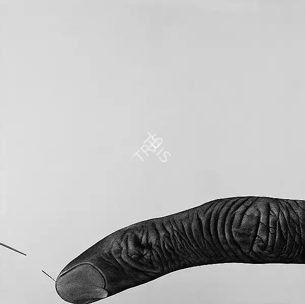 Broota, Rameshwar (Artist). Friction. Oil on canvas, 2008 | Painting | FineArts | 00645610