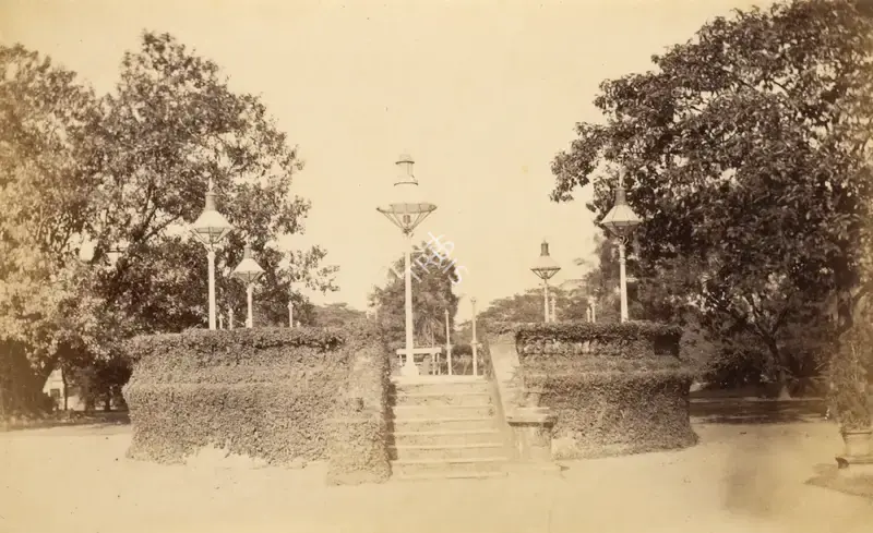 Hooper, Willoughby Wallace (Photographer). Untitled. Albumen print pasted on thick mount, n.d. | Antiquarian Photograph | Photography | 00115641