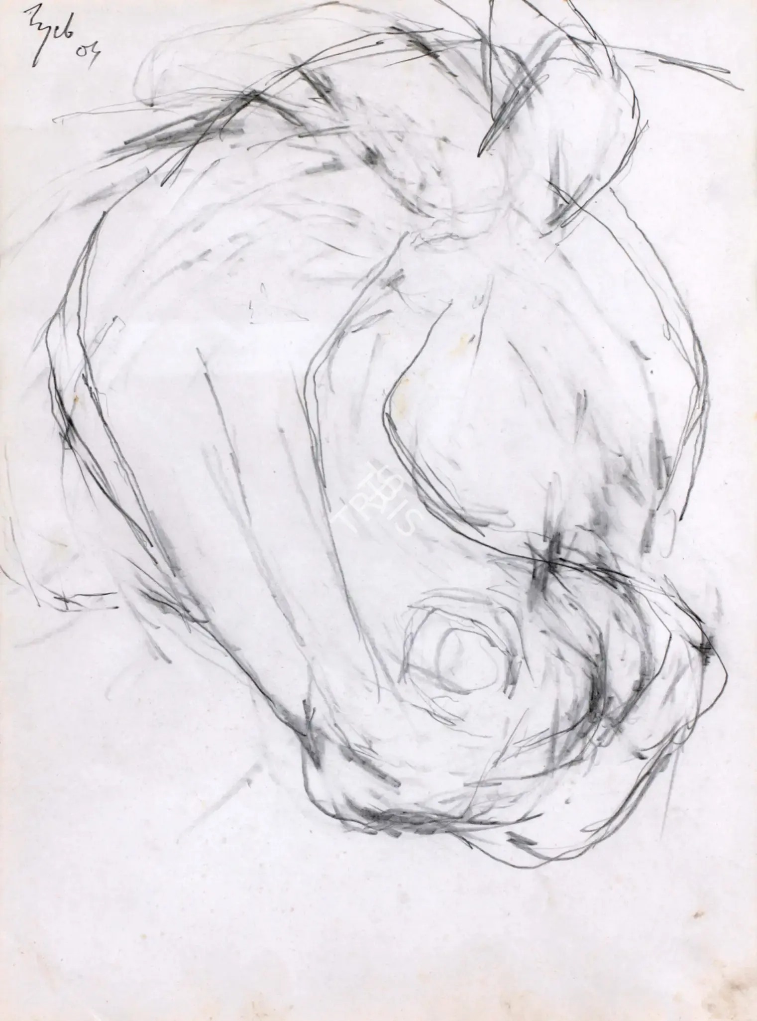 Mehta, Tyeb (Artist). Untitled, 2004 | Drawing
