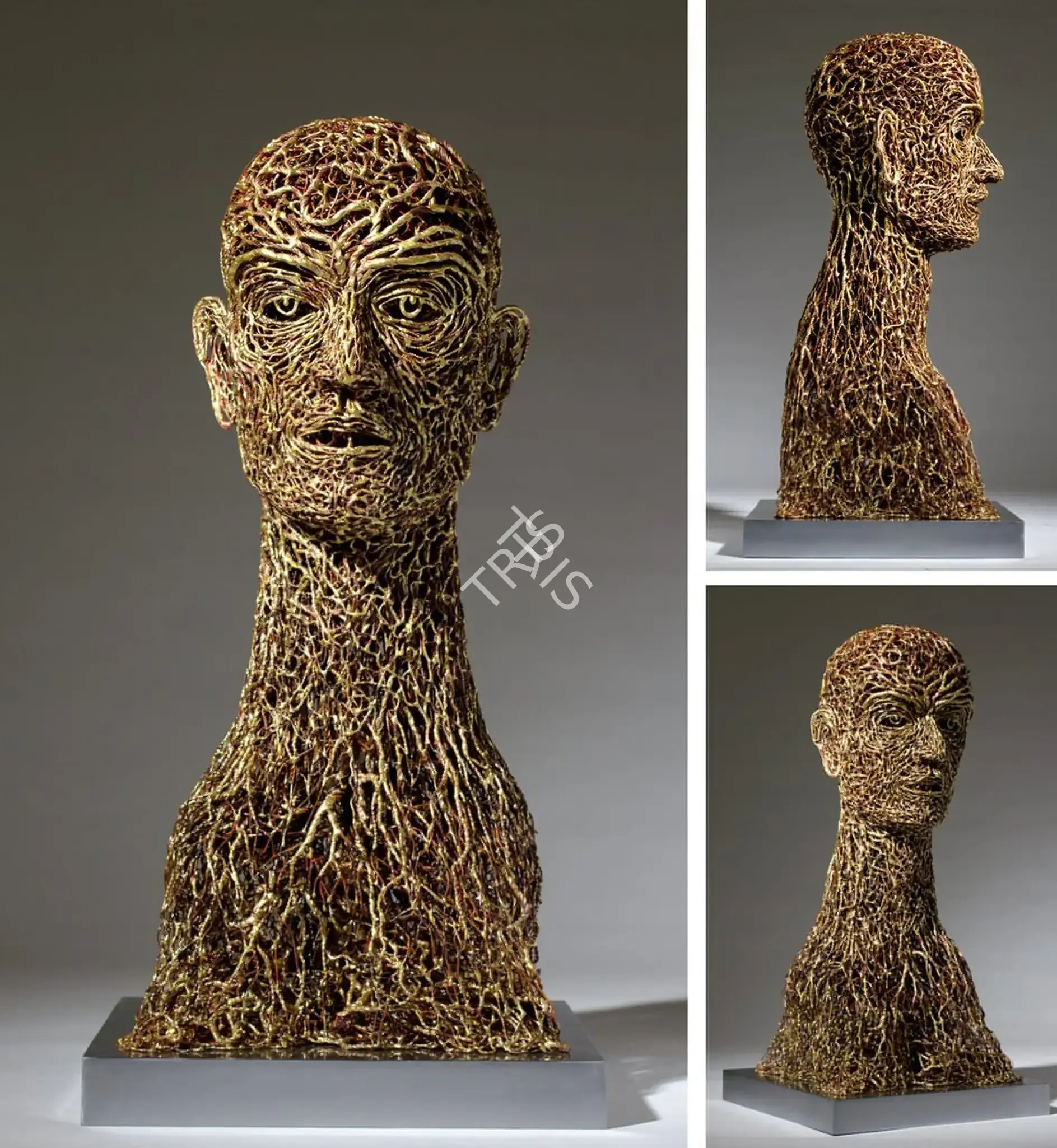 Singh, Dhananjay (Artist). Head. Bronze, 2011 | Sculpture | FineArts | 00899118