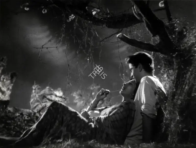 Reddy, V.N. (Cinematographer), Aag, 1948 | Photographic Still | CinemaEducation | 00883685