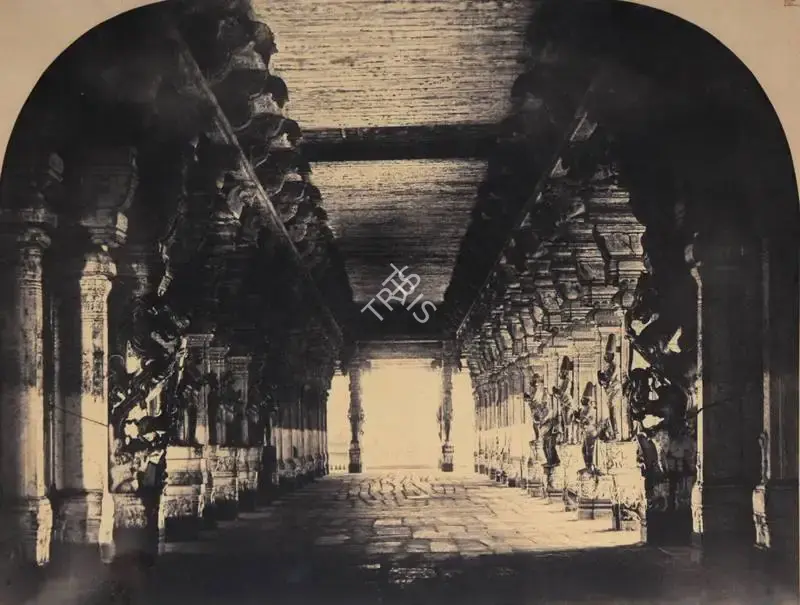 Tripe, Capt. Linnaeus (Photographer). View of the Nave from the Simhasanum at the Westend, Madura - From the album "Photographic views in Madura Part 1 (1860)" By Captain L.. Tripe, Government Photographer With Descriptive Notes, By M. Norman, ESQ., M.C.S. 1858". Albumen print from dry collodion glass negative, 1858 | Antiquarian Photograph | Photography | 00116065