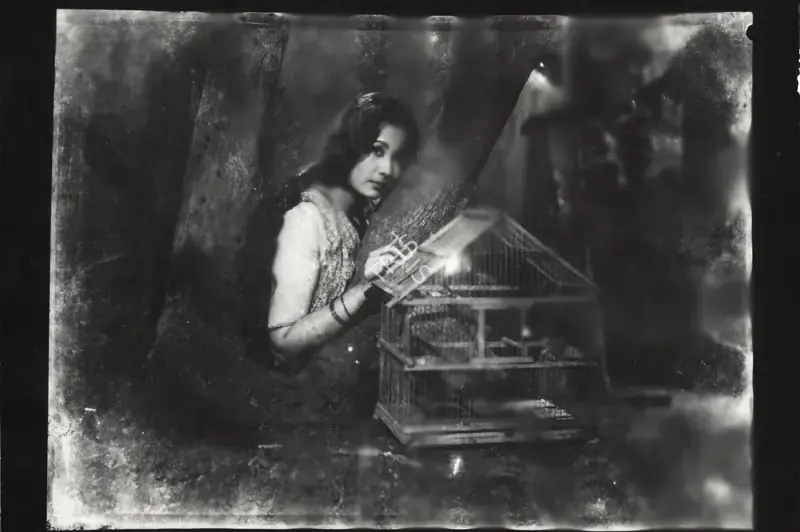 Bannerjee, Shanu (Director), Madhu, 1959 | Photographic Still | CinemaEducation | 00889181