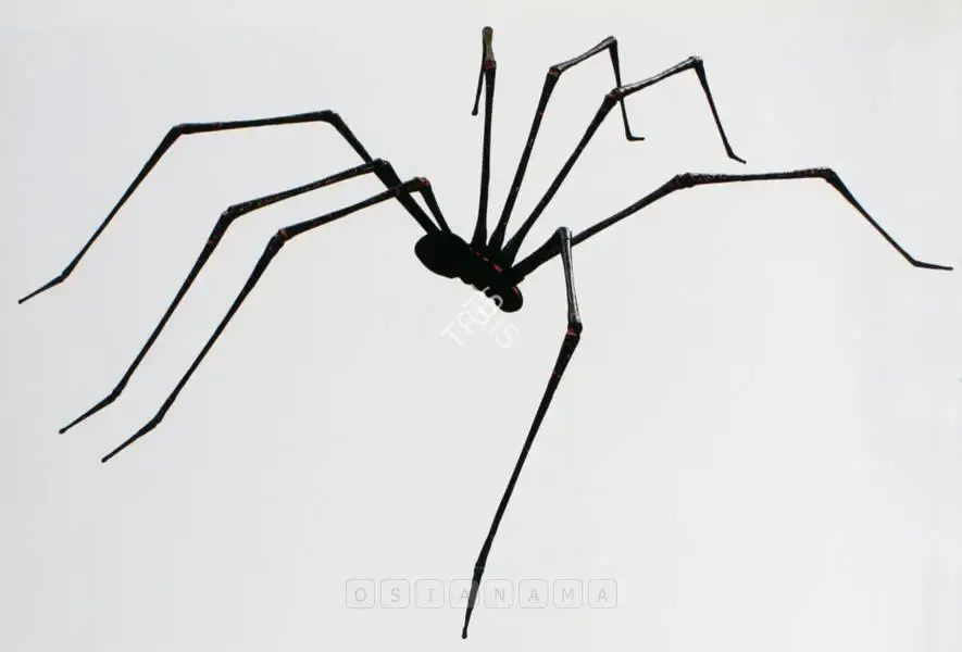Panda, Jagannath (Artist). The Spider - Within. Iron, jute, rope, cloth, glue, paper, fabric border and electric insulation tape, 2005 | Sculpture  | 00881077