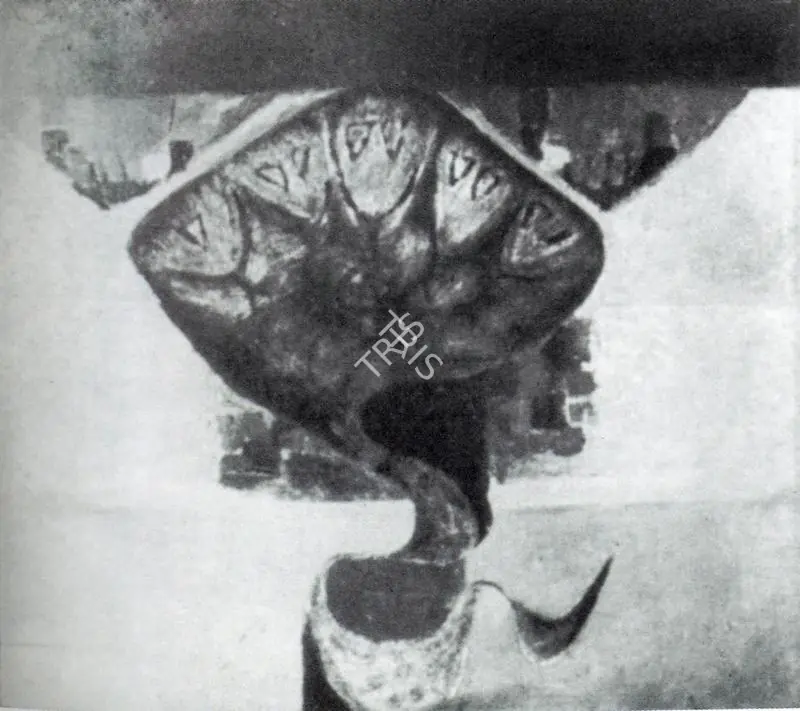 Raja, A.C.K. (Artist). Snake. Oils, n.d. | Artrends, July 1976 - July 1977 | Painting | FineArts | 00551553