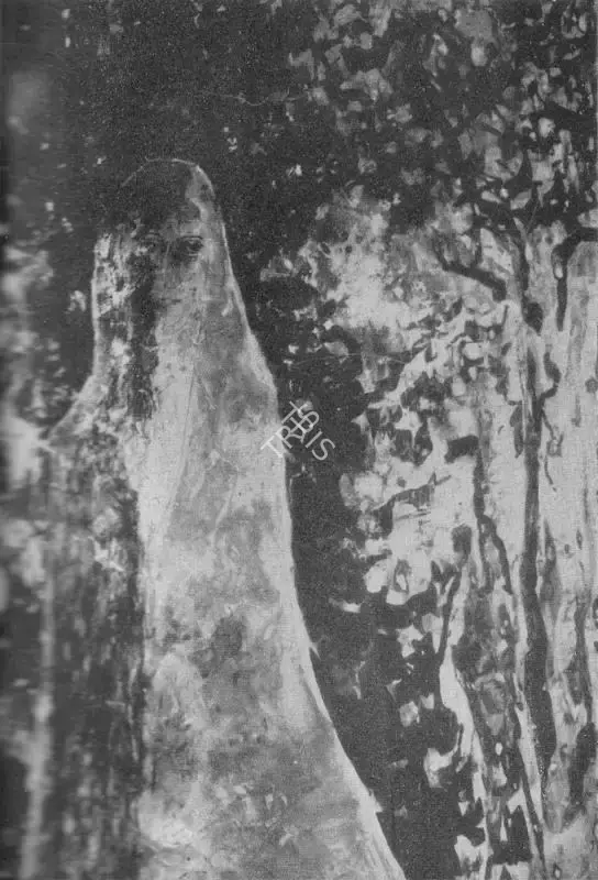Tagore, Rabindranath (Artist). Untitled, n.d. | Painting