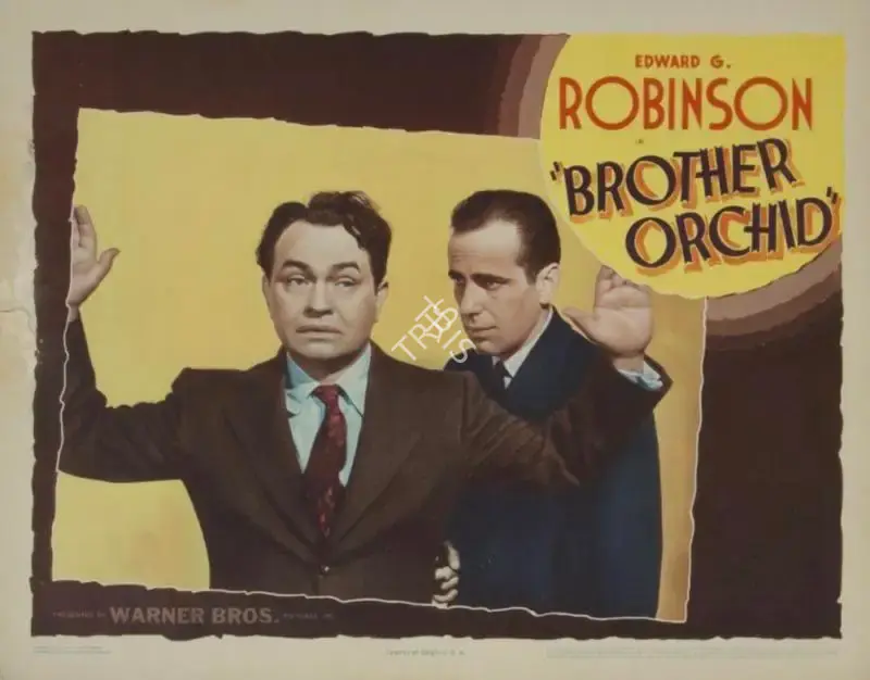 Bacon, Lloyd (Director), Brother Orchid, 1940 | Lobby Card | CinemaEducation | 00790244