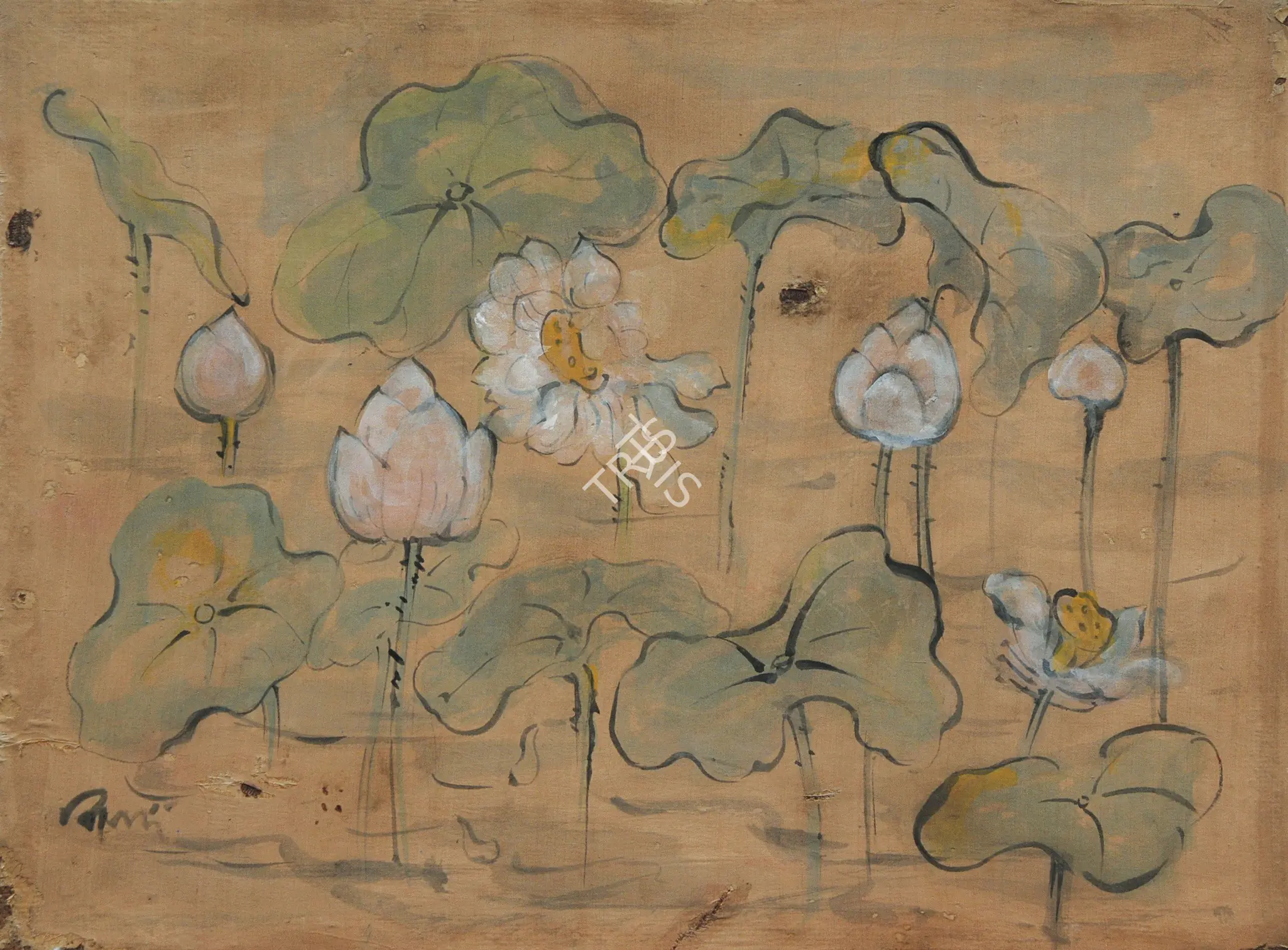 Mukherjee, B.B. (Artist). Lotus Pond, c.1953 | Painting