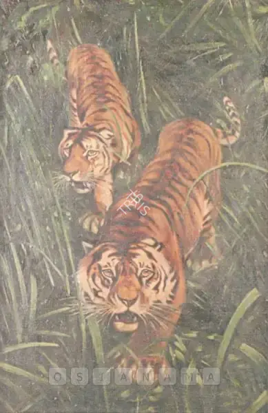20th Century Indian School (Artist). Tigers, n.d. | Painting