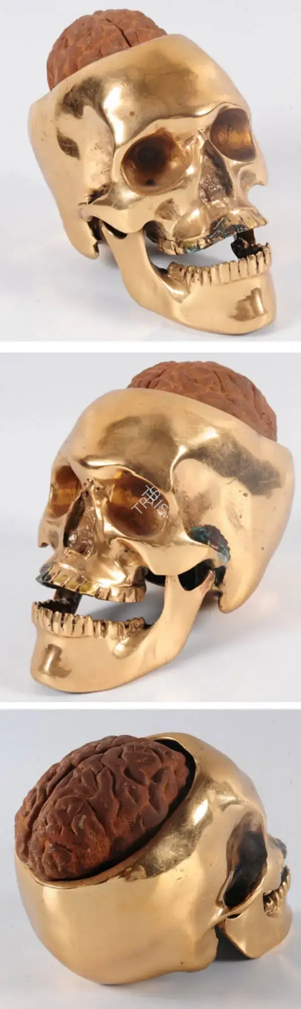 Ajmeri, Ritesh (Artist). Rusted Brain 1. Bronze casted iron, 2008 | Sculpture | FineArts | 00644928