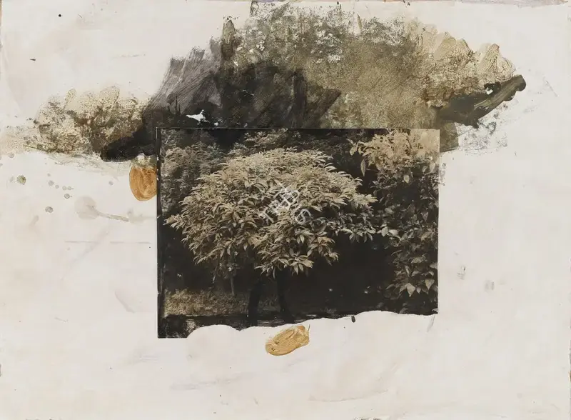 Mazumdar, Chittrovanu (Artist). Untitled, 1996 | Painting