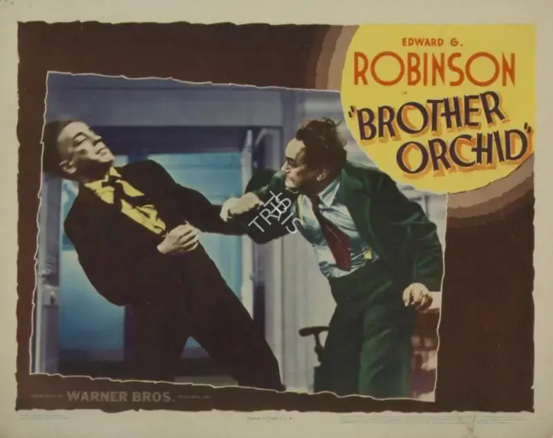 Bacon, Lloyd (Director), Brother Orchid, 1940 | Lobby Card | CinemaEducation | 00790245