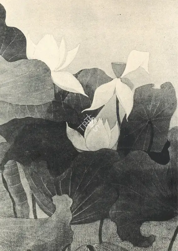 Menon, K. Madhava (Artist). Lotuses, n.d. | Painting