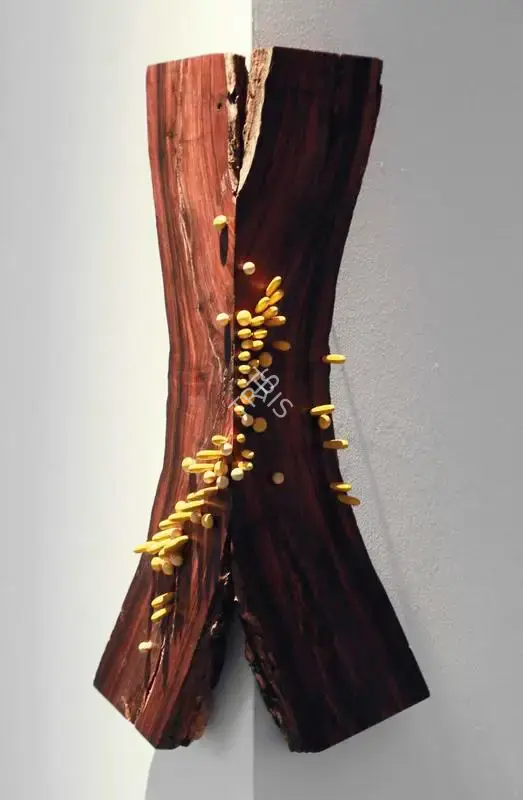 Shettar, Ranjani (Artist). Remenence from Last Night's Dream, 2011 | Sculpture