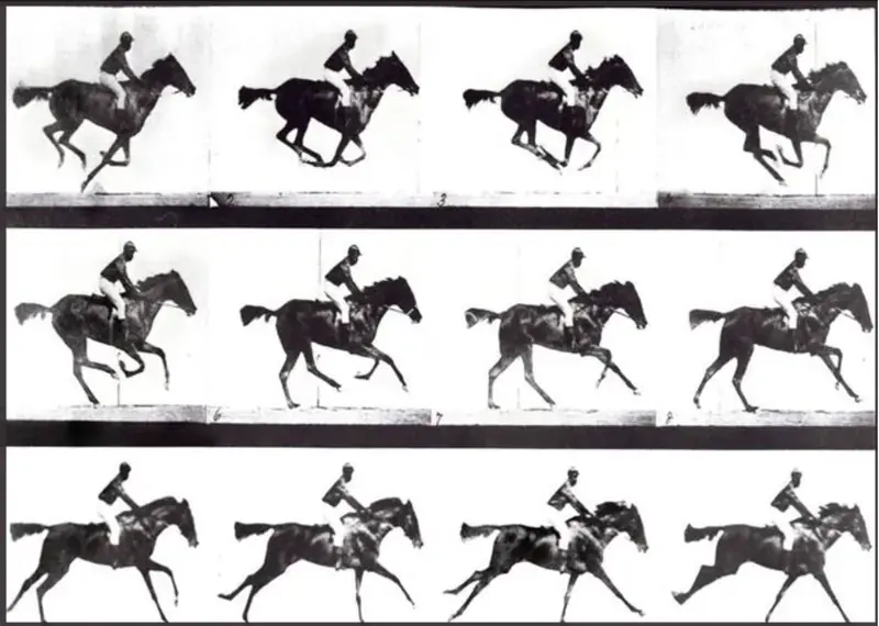 Muybridge, Eadweard (Director), The Horse in Motion, 1878 | Photographic Still | CinemaEducation | 00457671