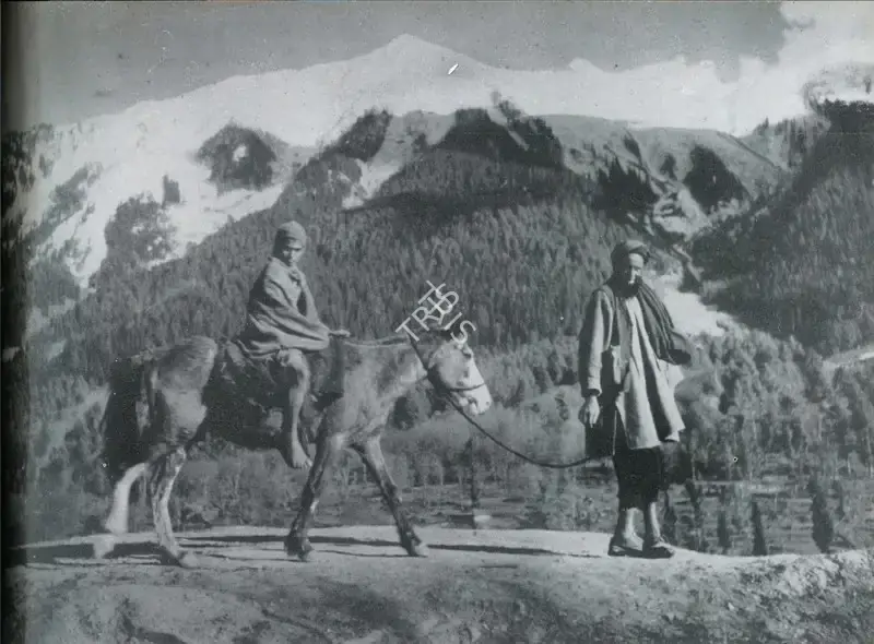 Batliwala, Soli (Photographer). The Old Man, the Mule and the Child, n.d. | Contemporary Photograph