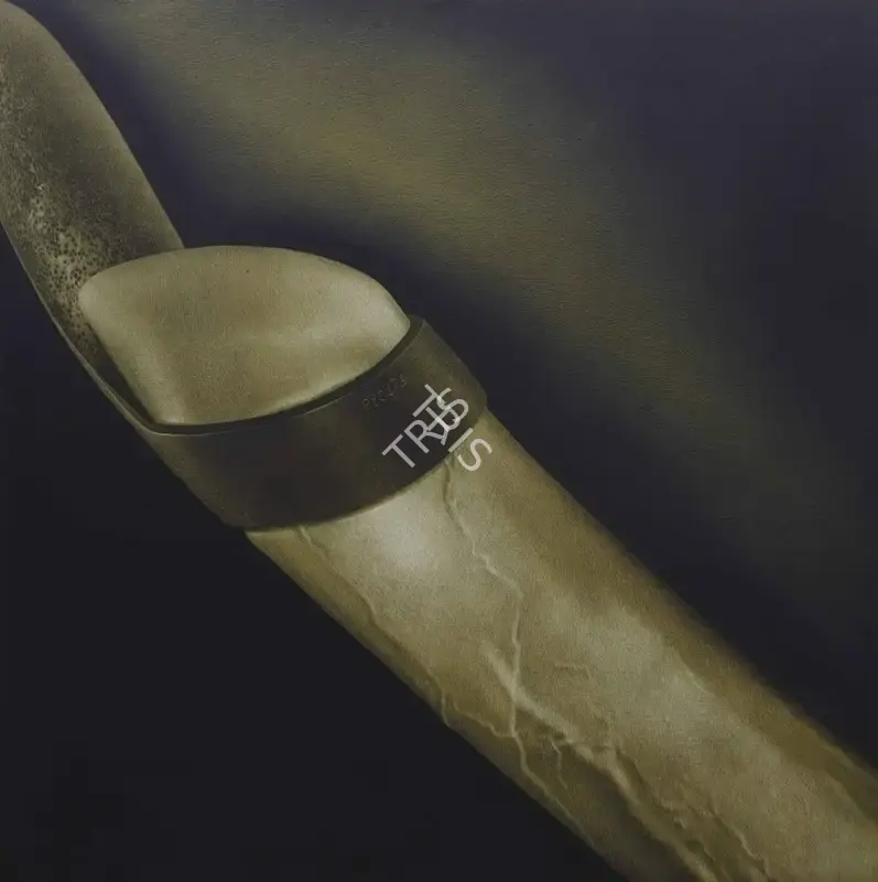 Broota, Rameshwar (Artist). Perennial Power-II. Oil on canvas, 2006 | Painting | FineArts | 00646606