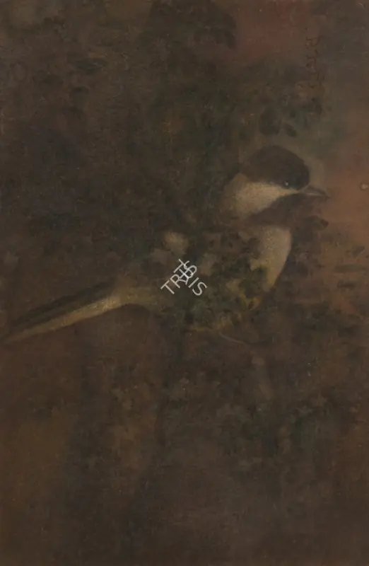 Tagore, Abanindranath (Artist). Untitled (Bird on Tree), circa 1930s | Painting