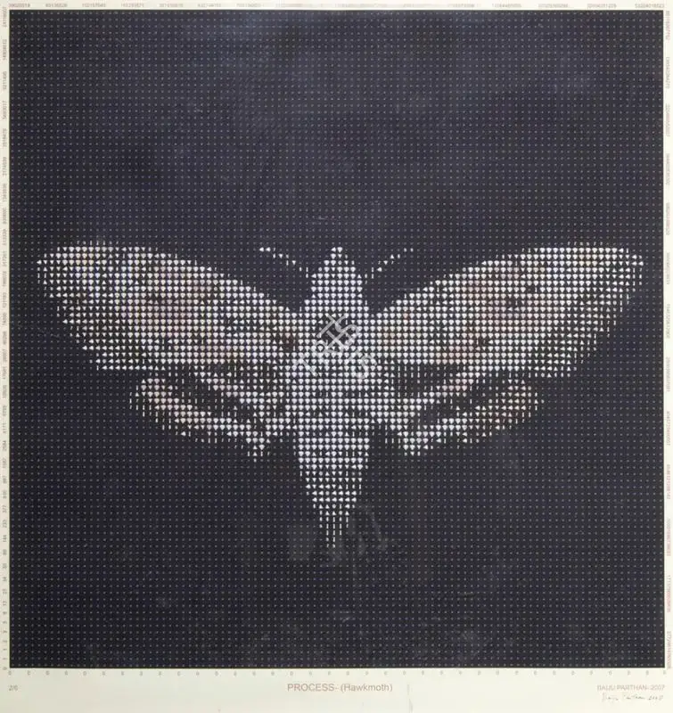 Parthan, Baiju (Artist). Process (Hawkmoth), 2007 | Print