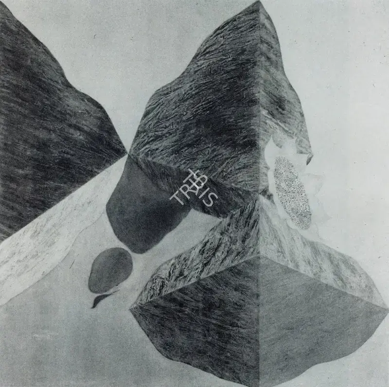 Swaminathan, J. (Artist). Perception, n.d. | Painting