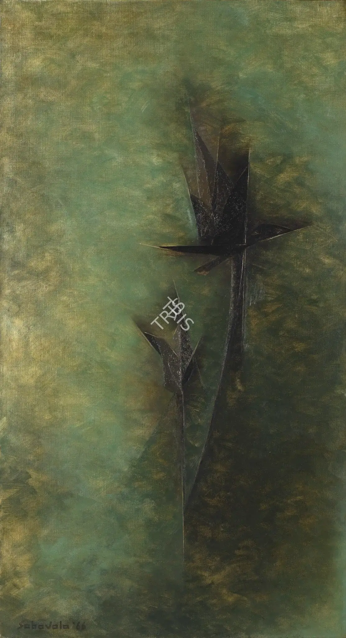 Sabavala, Jehangir (Artist). Black Lillies, 1966 | Painting