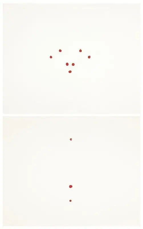 Balasubramaniam, A. (Artist). Orifice. Laser burnt marks and screen print on paper; Edition 6, 2008 | Painting | FineArts | 00338031