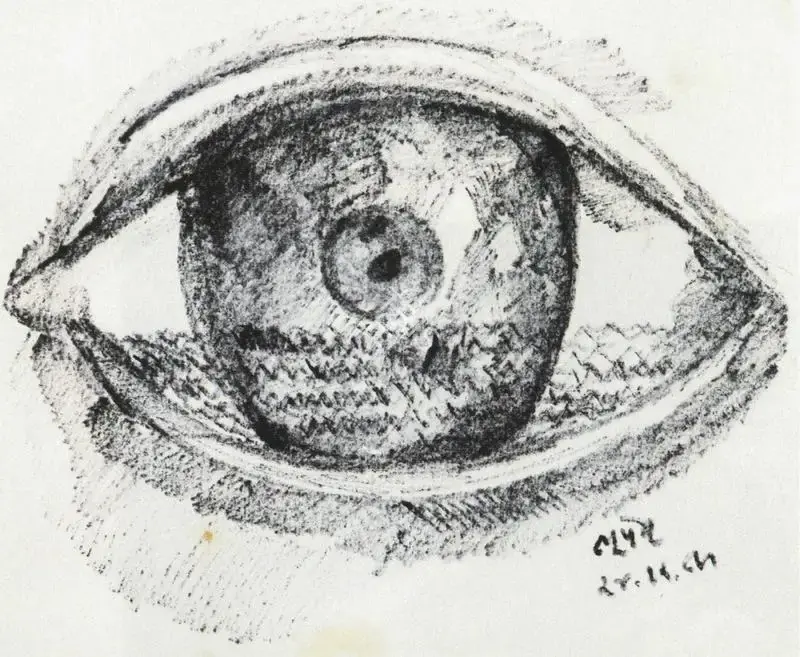 Khakhar, Bhupen P. (Artist). Eye with Cataracts, 1989 | Drawing