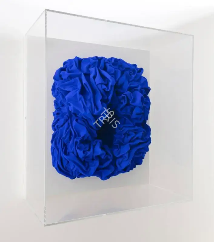 Kapoor, Anish (Artist). Untitled. Canvas, resin and pigment, 2018 | Sculpture | FineArts | 00337035