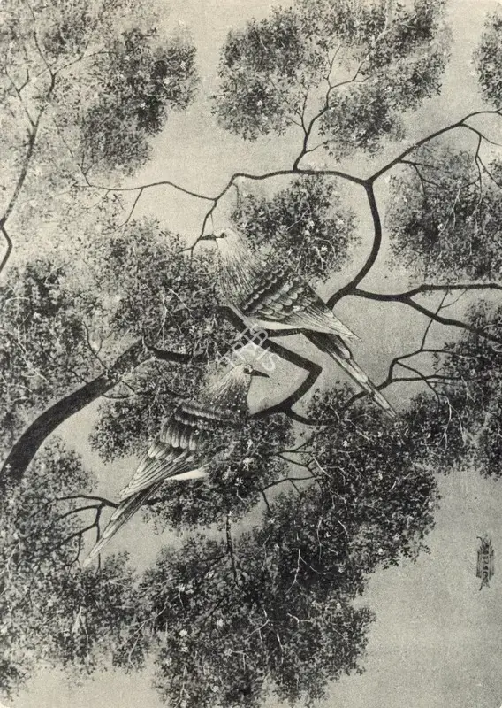 Menon, K. Madhava (Artist). Bird Study, n.d. | Painting