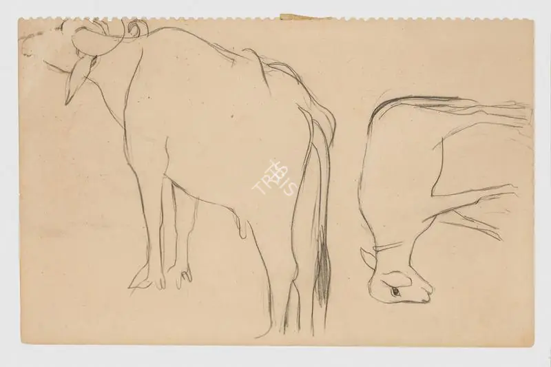 Sher-Gil, Amrita (Artist). Untitled (Buffaloes). Graphite on paper, 1941 | Painting | FineArts | 00341686