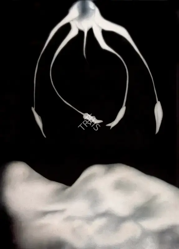 Broota, Vasundhara Tewari (Artist). Approach, 1985 | Drawing