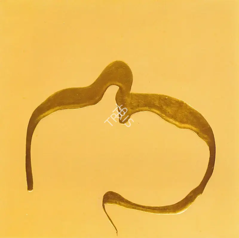 Sharma, Nimisha (Artist). Untitled, 2007 | Painting