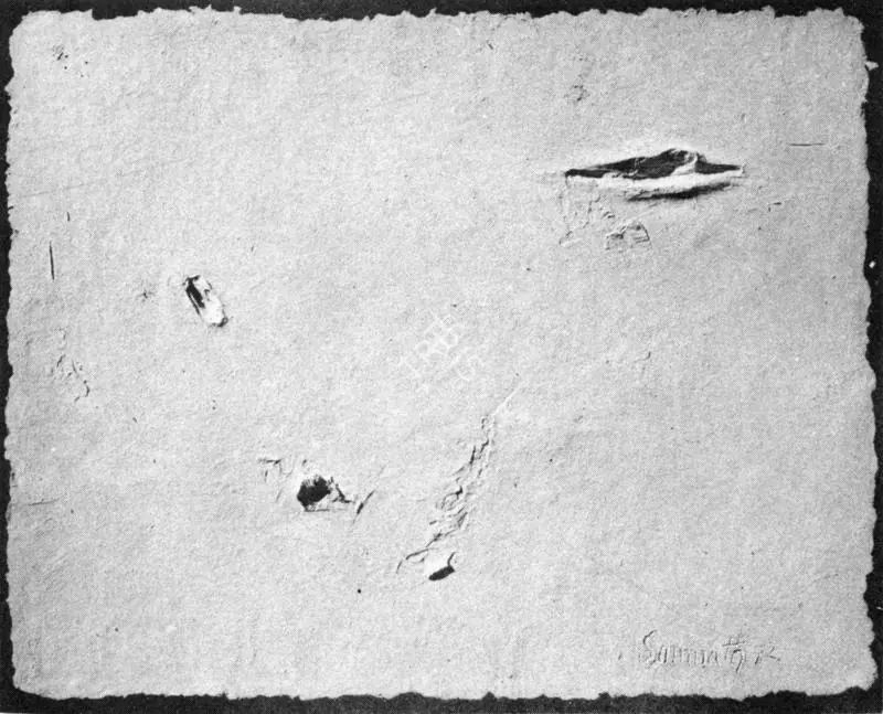 Hore, Somnath (Artist). Wounds-20. 1972 | Art Heritage 3, October 1983-March 1984 | Drawing | FineArts | 00530056