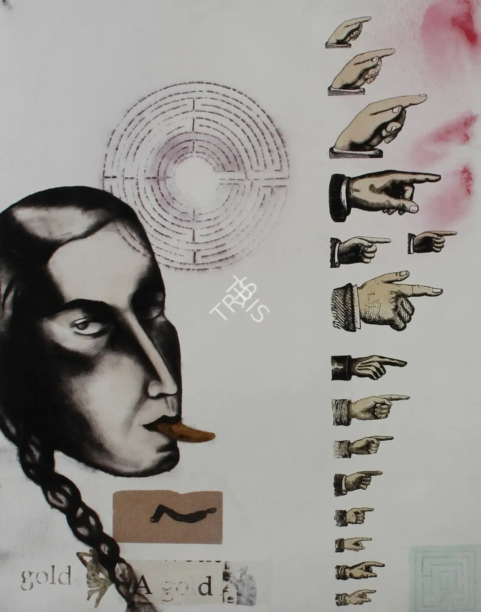 Dodiya, Anju (Artist). Sub Rosa, 2007 | Graphic Art