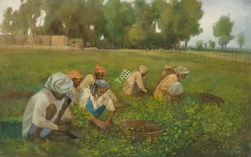 Bukhsh, Ustad Allah (Artist). Untitled (Potato Harvest), 1968 | Painting