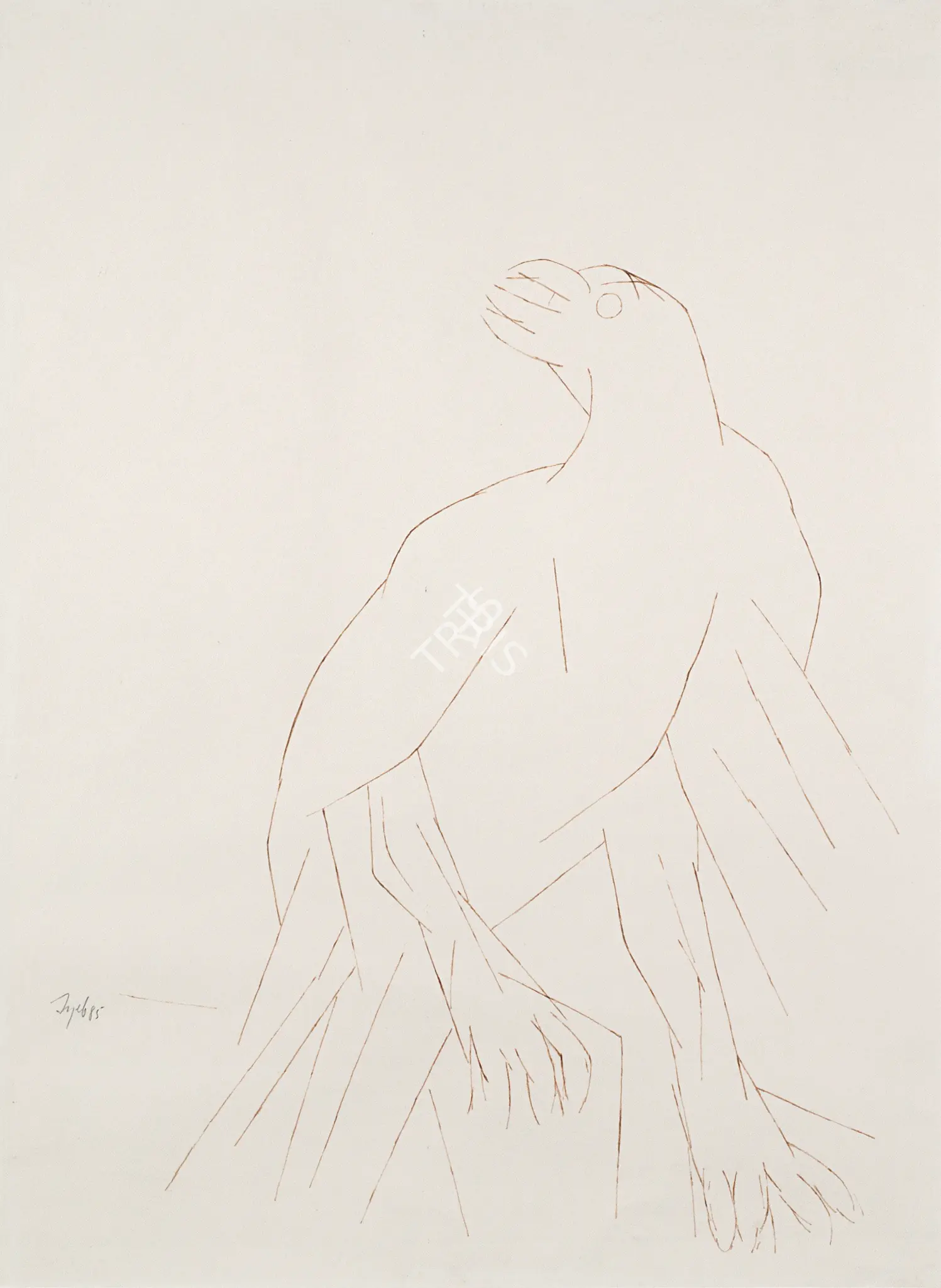 Mehta, Tyeb (Artist). Bird, 1985 | Drawing