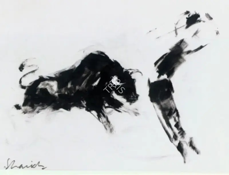 Shaikh, Aslam (Artist). Bullfight, n.d. | Painting