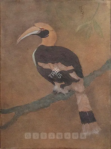 Tagore, Abanindranath (Artist). Bird. Watercolour on paper, late 1910s | Painting | FineArts | 00645297